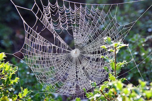 web tasarım için kullanılan programlar