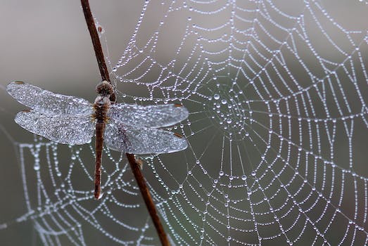 web tasarım kaç ayda öğrenilir